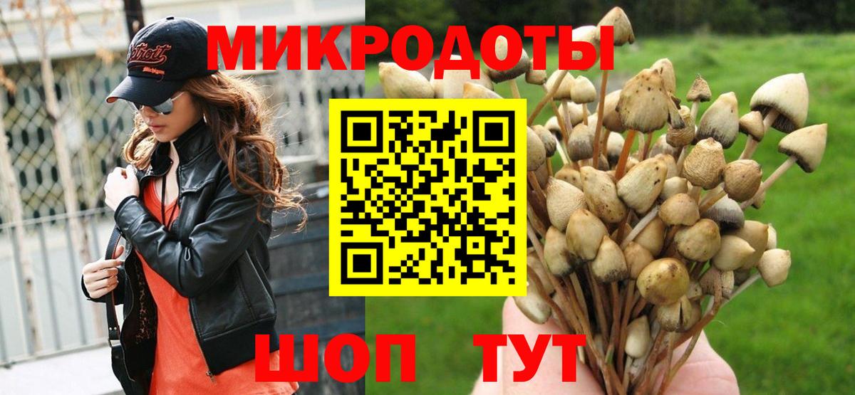 Псилоцибиновые грибы мухоморы Всеволожск